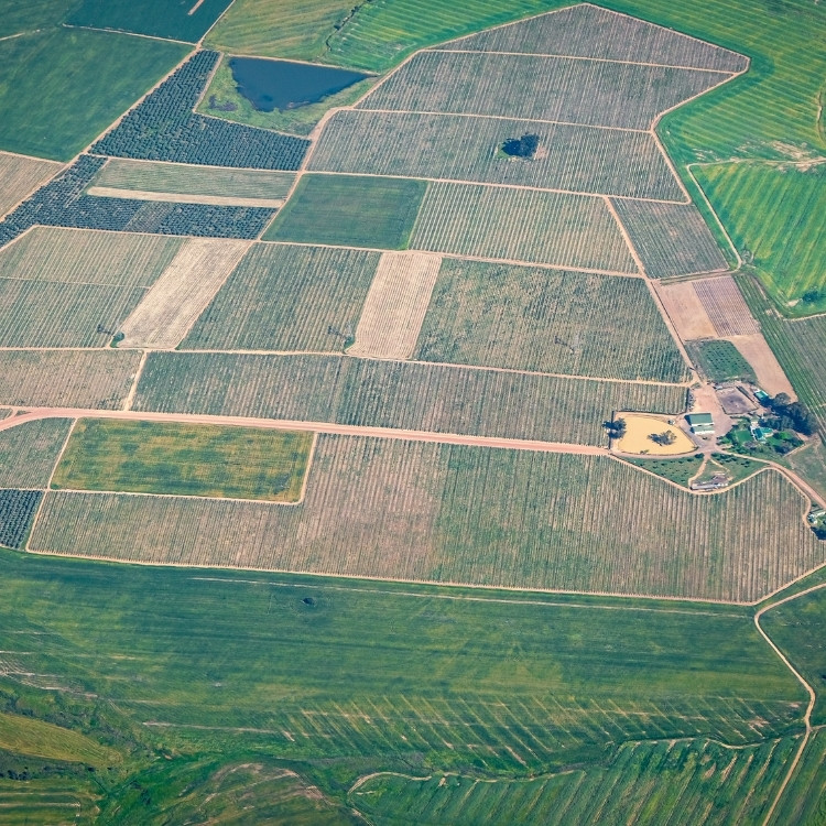 Financial Services in Chicago, IL